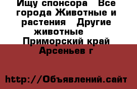 Ищу спонсора - Все города Животные и растения » Другие животные   . Приморский край,Арсеньев г.